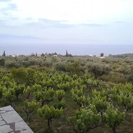 The Iconpainter Peroulia * Kómboi